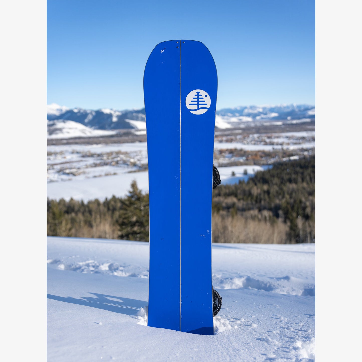 Burton Family Tree Hometown Hero Splitboard 2025