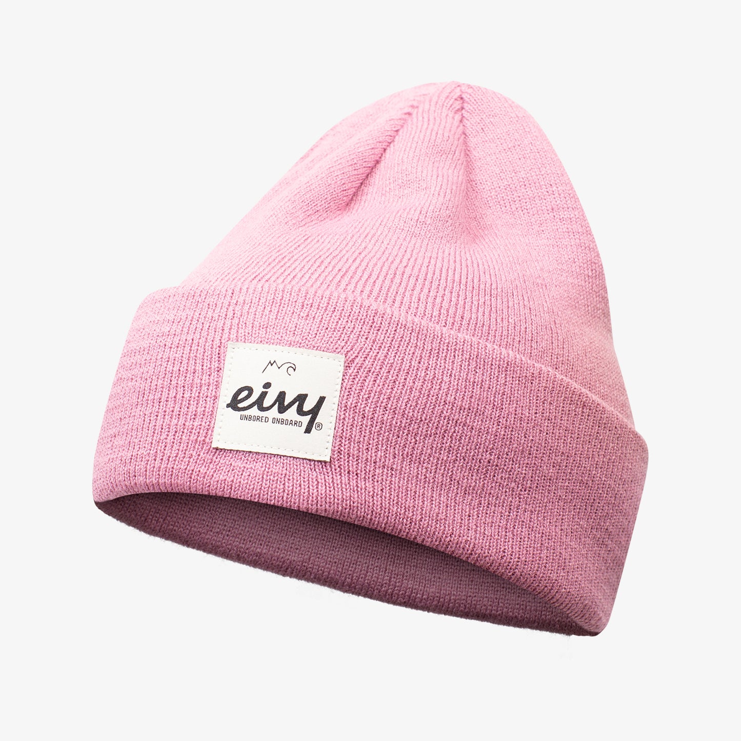 Eivy Watcher Beanie